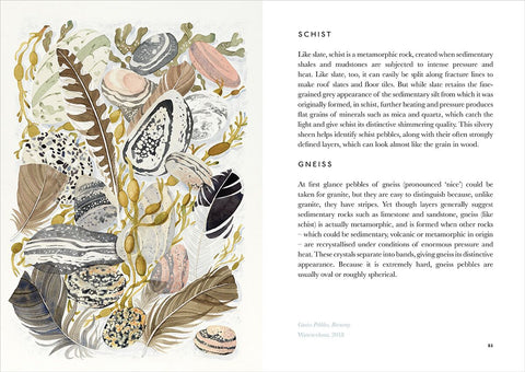 The Book of Pebbles by Christopher Stocks and Angie Lewin
