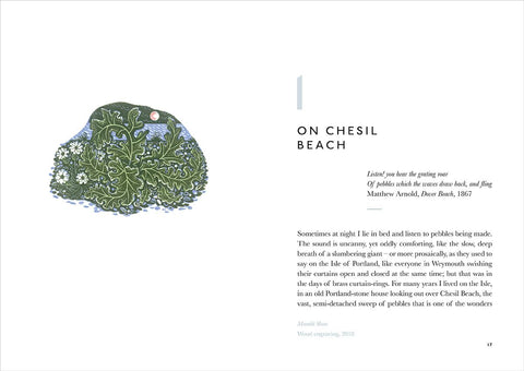 The Book of Pebbles by Christopher Stocks and Angie Lewin