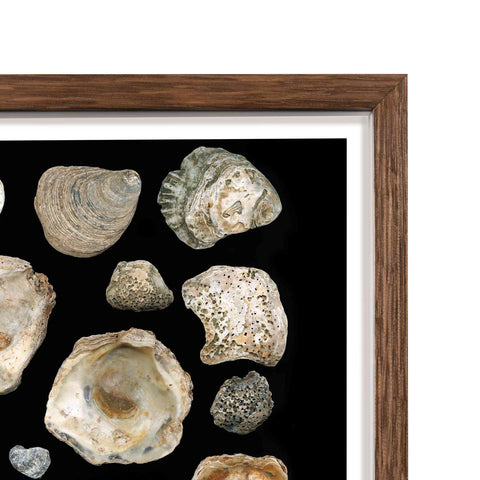 Three For a Penny, limited edition 2021 framed print