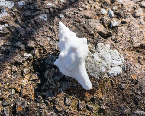 Shell soap on a rope