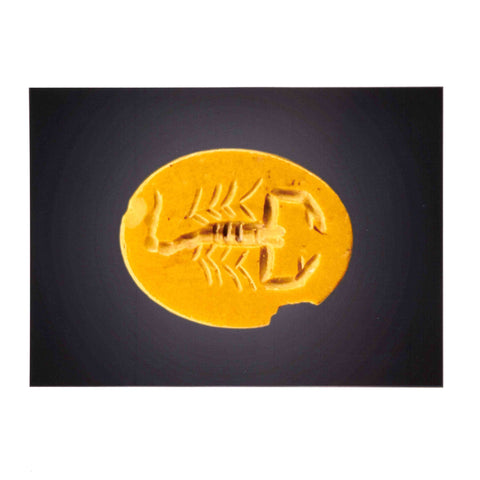 Yellow Scorpion postcard