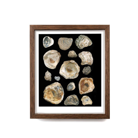 Three For a Penny, limited edition 2021 framed print