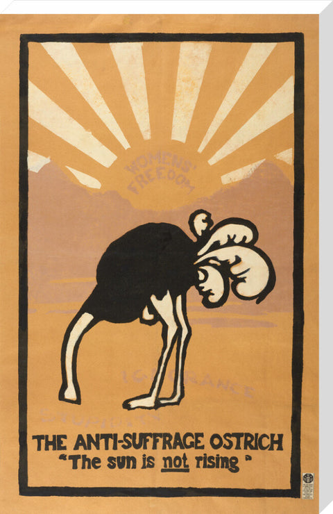 The anti-suffrage ostrich. The sun is not rising. Women's Freedom