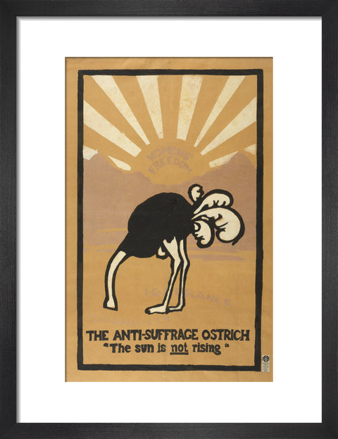 The anti-suffrage ostrich. The sun is not rising. Women's Freedom