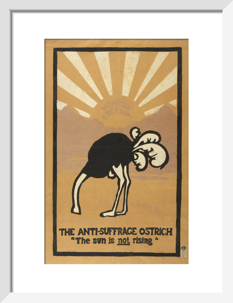 The anti-suffrage ostrich. The sun is not rising. Women's Freedom