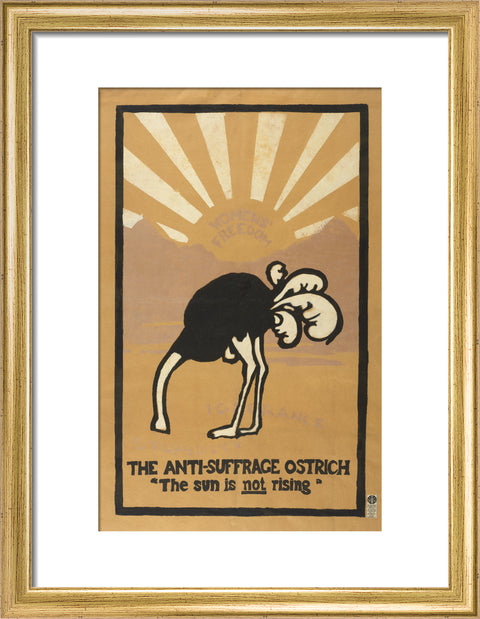 The anti-suffrage ostrich. The sun is not rising. Women's Freedom