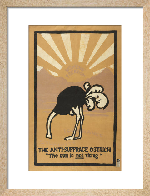 The anti-suffrage ostrich. The sun is not rising. Women's Freedom