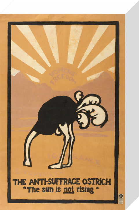The anti-suffrage ostrich. The sun is not rising. Women's Freedom