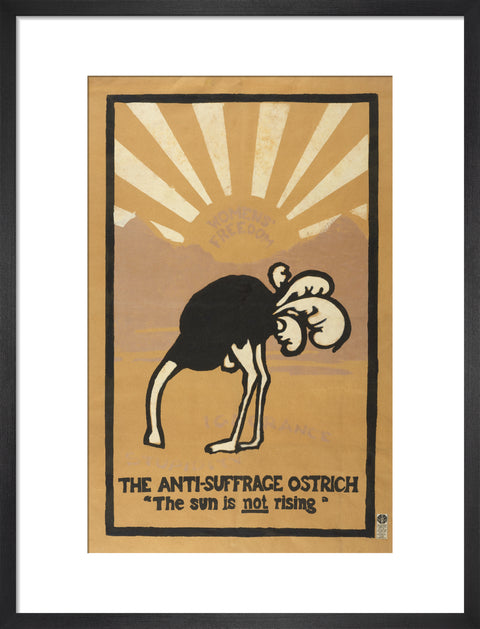 The anti-suffrage ostrich. The sun is not rising. Women's Freedom