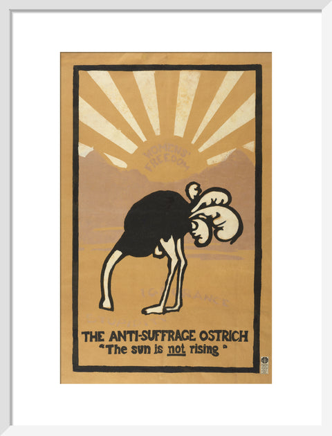 The anti-suffrage ostrich. The sun is not rising. Women's Freedom