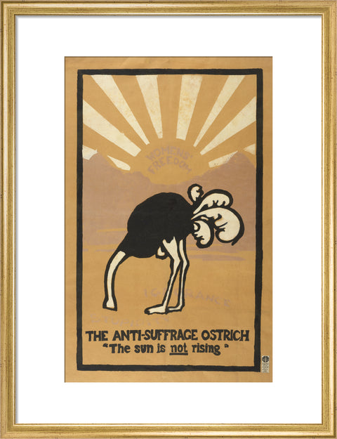 The anti-suffrage ostrich. The sun is not rising. Women's Freedom