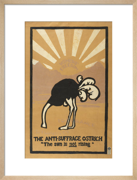 The anti-suffrage ostrich. The sun is not rising. Women's Freedom