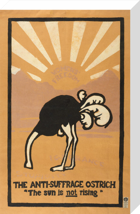 The anti-suffrage ostrich. The sun is not rising. Women's Freedom