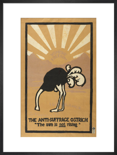 The anti-suffrage ostrich. The sun is not rising. Women's Freedom