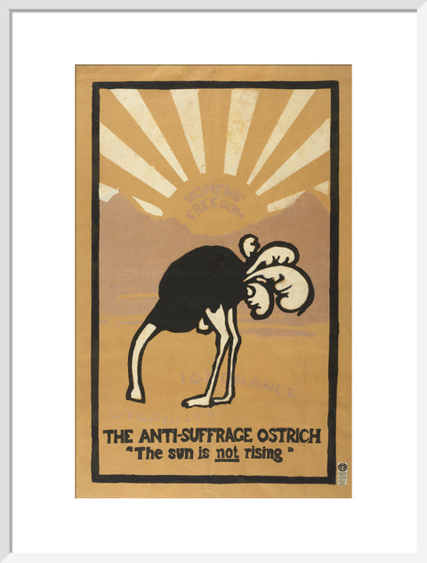 The anti-suffrage ostrich. The sun is not rising. Women's Freedom