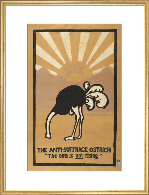 The anti-suffrage ostrich. The sun is not rising. Women's Freedom
