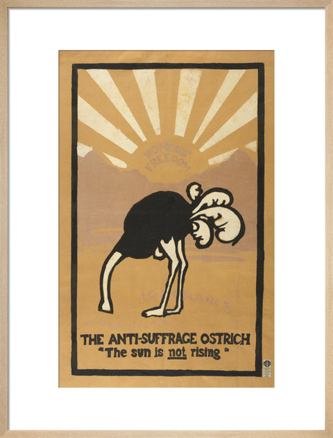 The anti-suffrage ostrich. The sun is not rising. Women's Freedom
