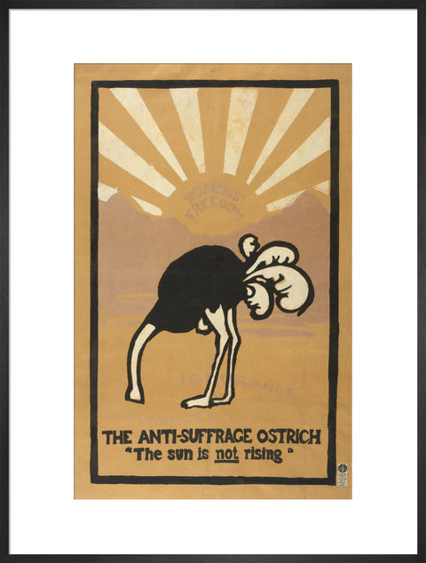 The anti-suffrage ostrich. The sun is not rising. Women's Freedom