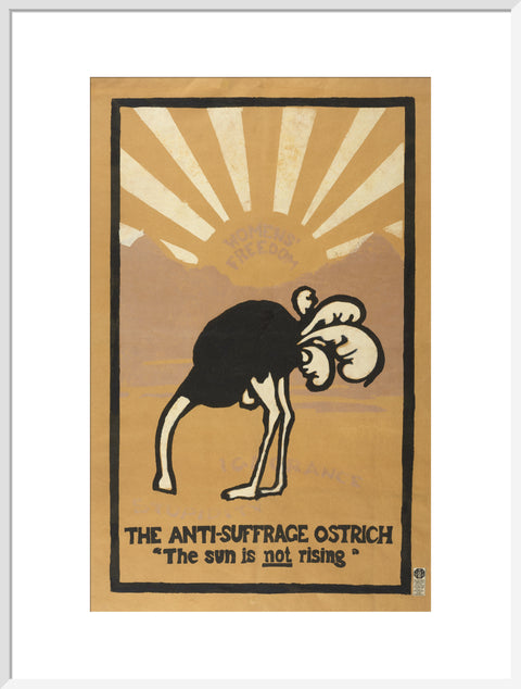 The anti-suffrage ostrich. The sun is not rising. Women's Freedom