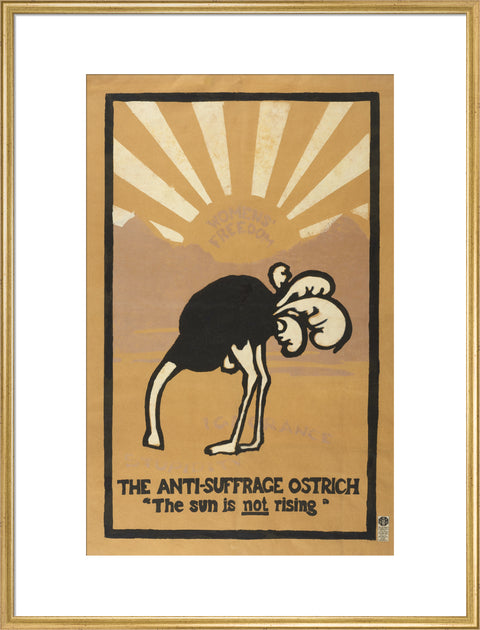 The anti-suffrage ostrich. The sun is not rising. Women's Freedom