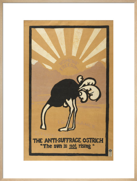 The anti-suffrage ostrich. The sun is not rising. Women's Freedom
