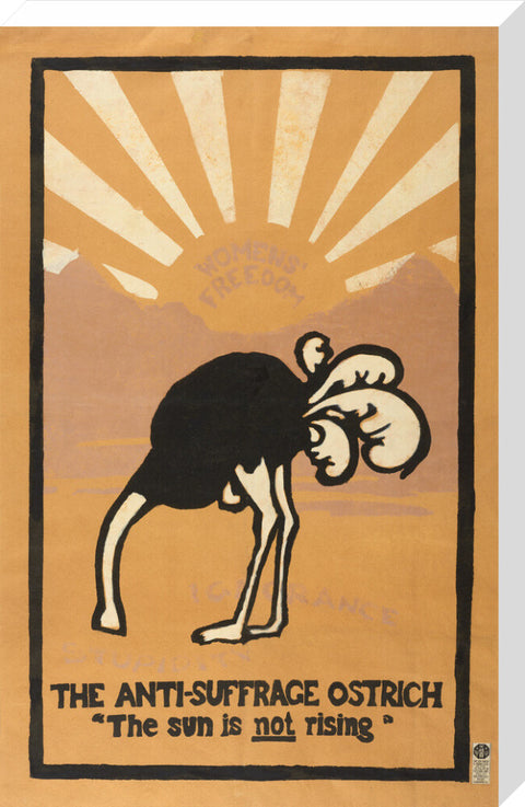 The anti-suffrage ostrich. The sun is not rising. Women's Freedom