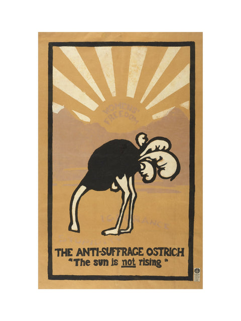 The anti-suffrage ostrich. The sun is not rising. Women's Freedom