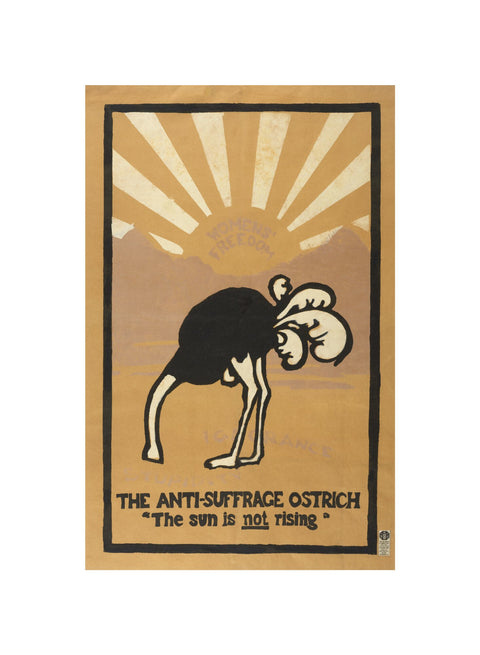 The anti-suffrage ostrich. The sun is not rising. Women's Freedom