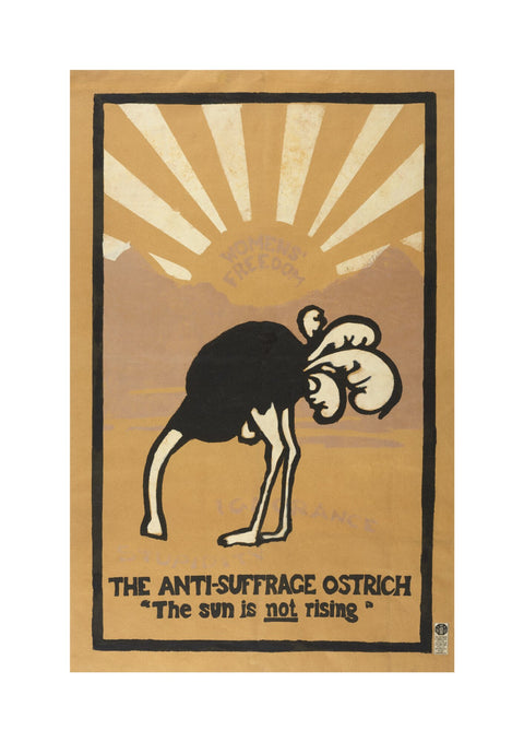 The anti-suffrage ostrich. The sun is not rising. Women's Freedom