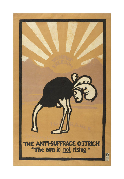 The anti-suffrage ostrich. The sun is not rising. Women's Freedom