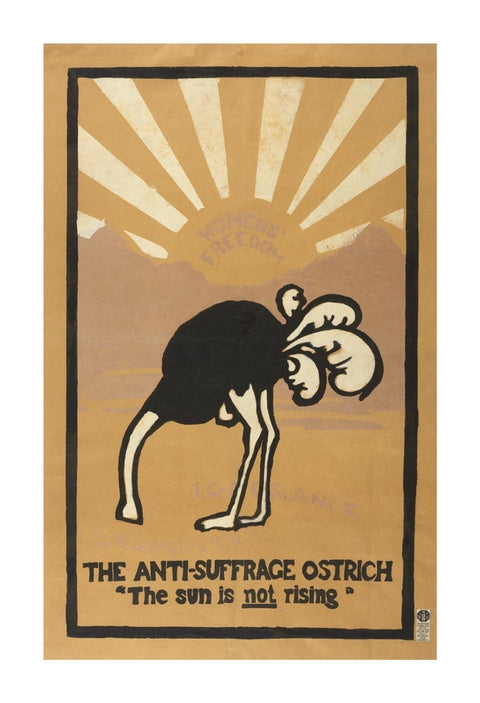 The anti-suffrage ostrich. The sun is not rising. Women's Freedom