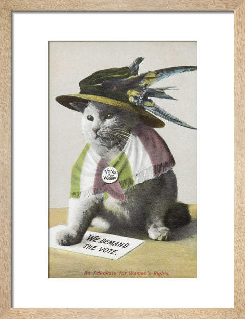 An Advokate for Women's Rights c.1909