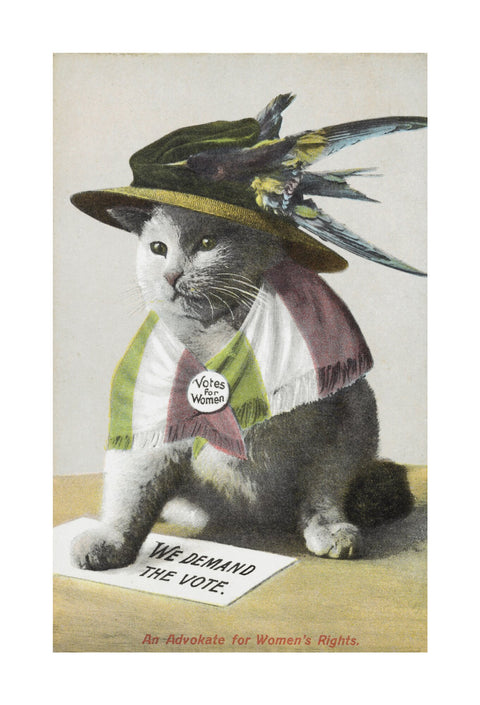 An Advokate for Women's Rights c.1909