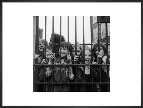 Children at an Inner City School, London