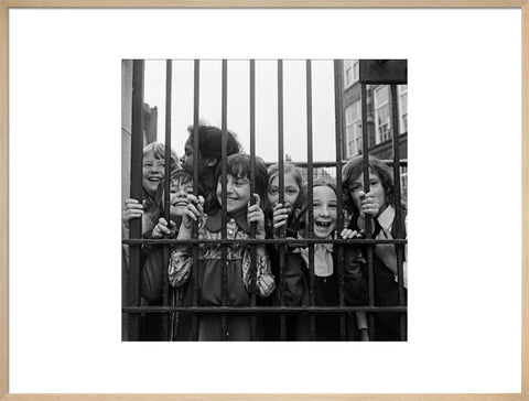 Children at an Inner City School, London