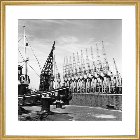 Cranes West India Dock 1962