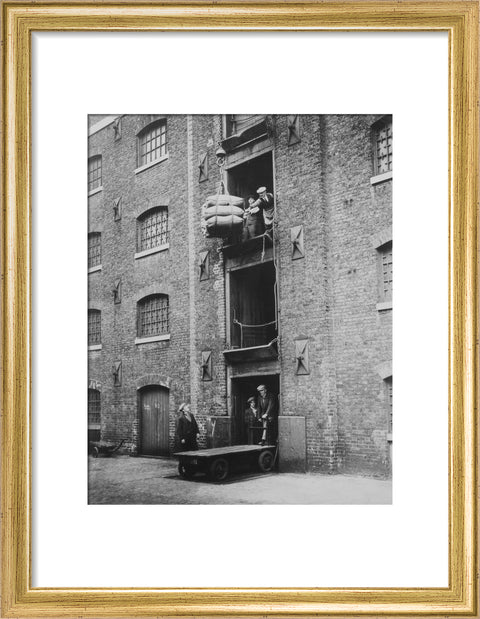 West India Docks 1900 Sugar being hoisted into warehouses