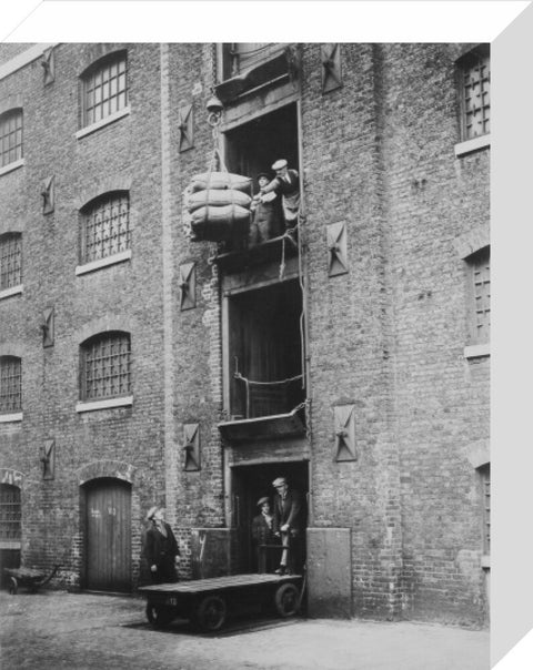 West India Docks 1900 Sugar being hoisted into warehouses