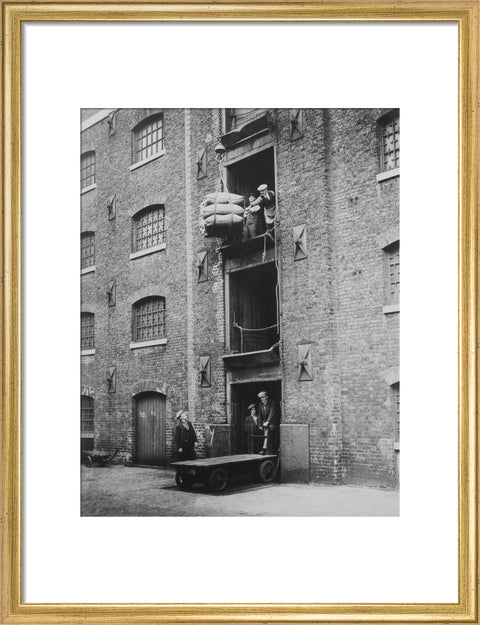 West India Docks 1900 Sugar being hoisted into warehouses