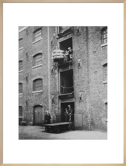 West India Docks 1900 Sugar being hoisted into warehouses