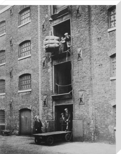 West India Docks 1900 Sugar being hoisted into warehouses