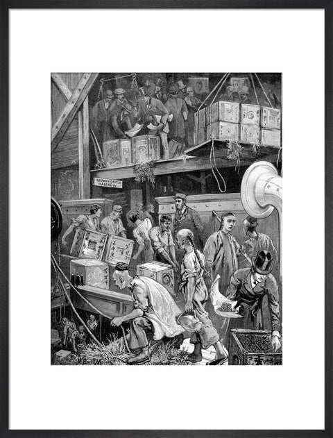 The arrival of Loudoun Castle at the London Dock 1877