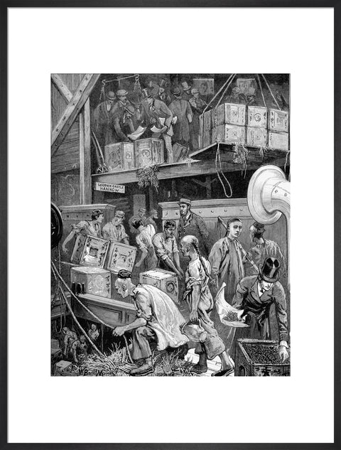 The arrival of Loudoun Castle at the London Dock 1877