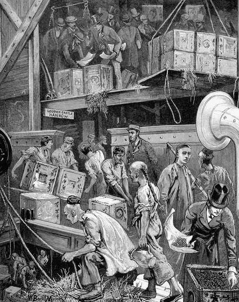 The arrival of Loudoun Castle at the London Dock 1877