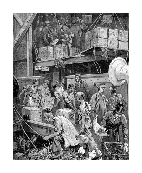 The arrival of Loudoun Castle at the London Dock 1877