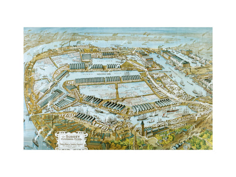 Surrey Commercial Docks 1906