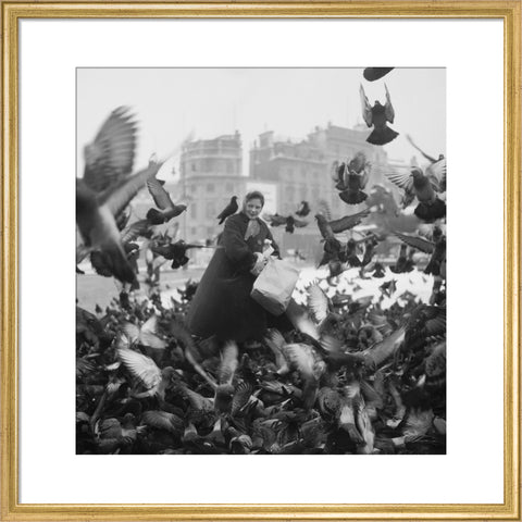 Feeding the pigeons in Trafalgar Square 20th century
