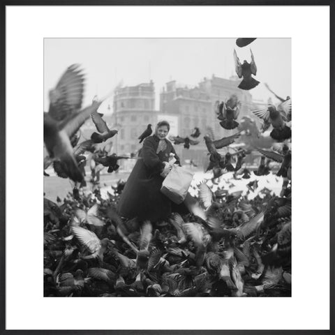 Feeding the pigeons in Trafalgar Square 20th century