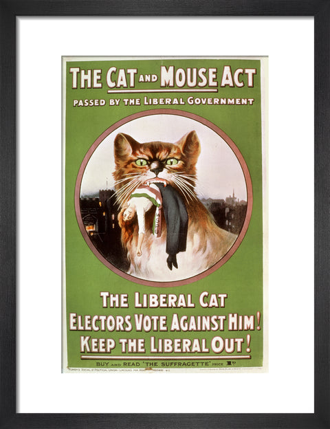 The Cat and Mouse Act poster 1914