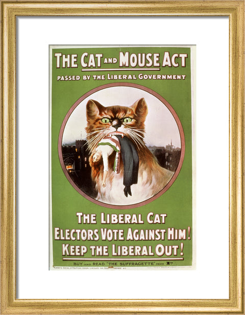 The Cat and Mouse Act poster 1914